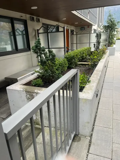 Avesta property, concrete wall coating