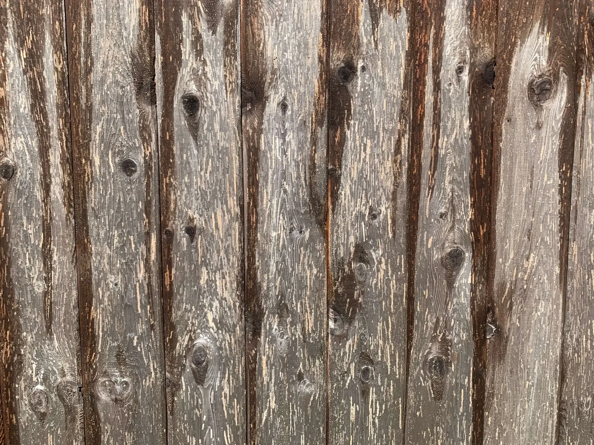 Before fence staining, weathered grey cedar boards, peeling and faded