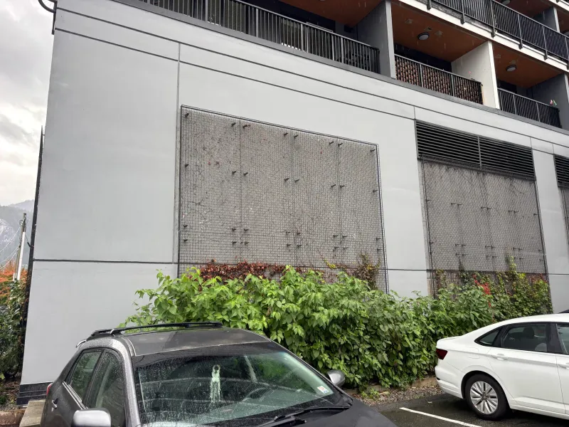 After: Side elevation of freshly painted wall with protective screens above hedges, Downtown, Squamish, BC
