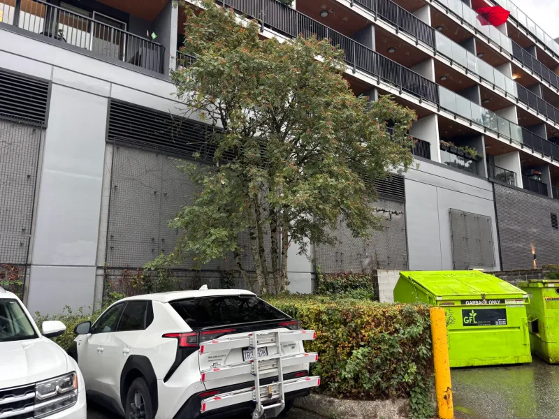 After: Wide view of freshly painted front elevation above parking area with garbage bins, Downtown, Squamish, BC