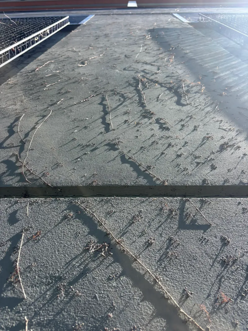 Before: Close-up of textured wall surface near vent, Downtown, Squamish, BC
