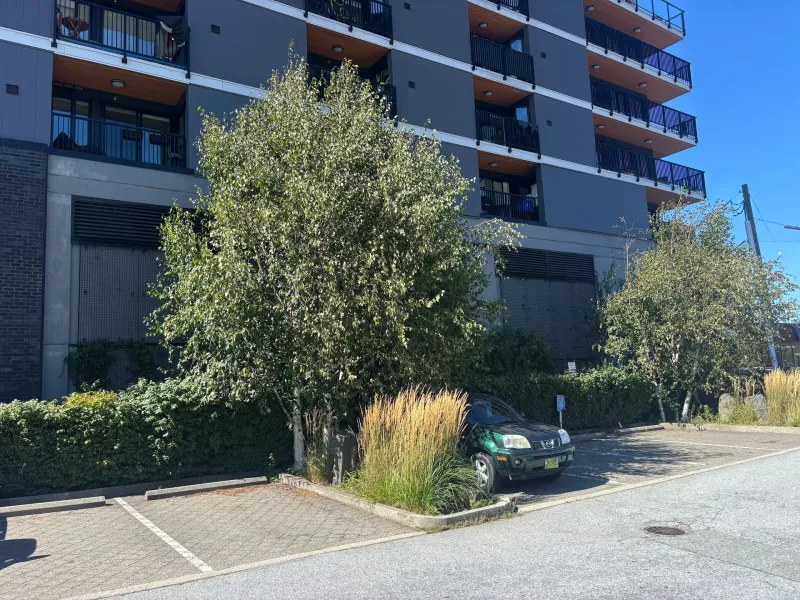 Before: Front elevation of building partially screened by trees, Downtown, Squamish, BC