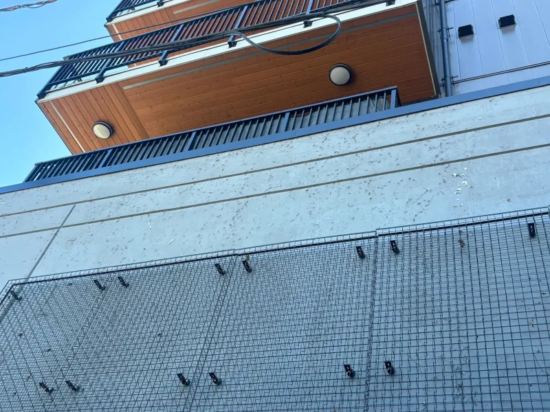 Before: Upward close view of wall corner with protective screen, Downtown, Squamish, BC