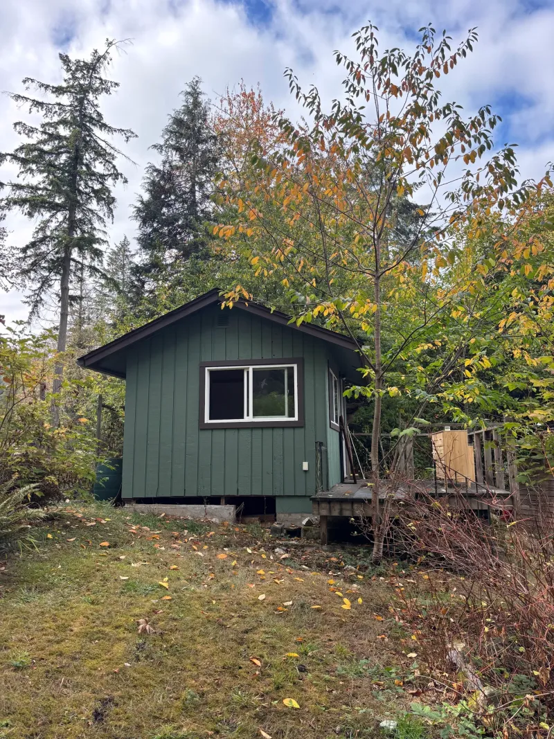 Before: Side wall of house with green vertical siding and single window, surrounded by trees, Souther Salt Spring. Isabella Point / Roland Rd, BC
