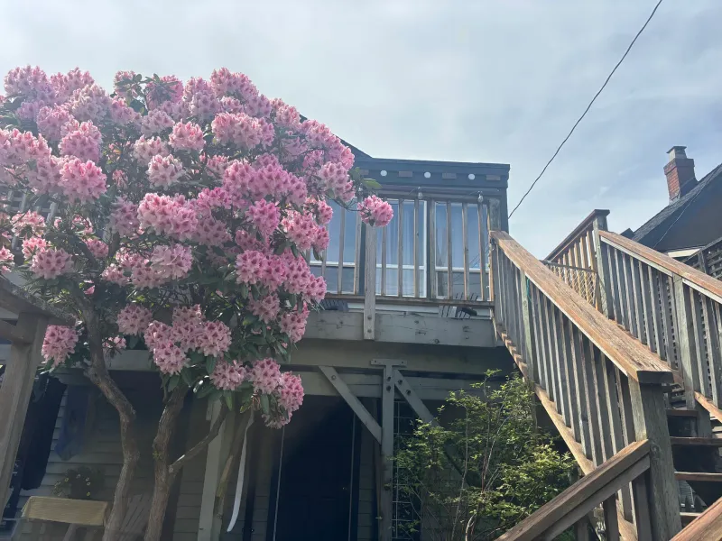 Before: Rear elevation of house with upper deck, stairs, and railing, Vancouver, West Vancouver, BC