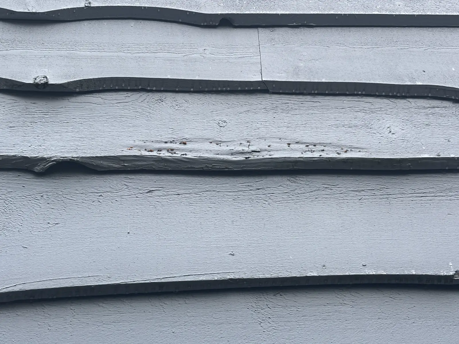 Before full exterior repaint, Southlands Vancouver home view ten