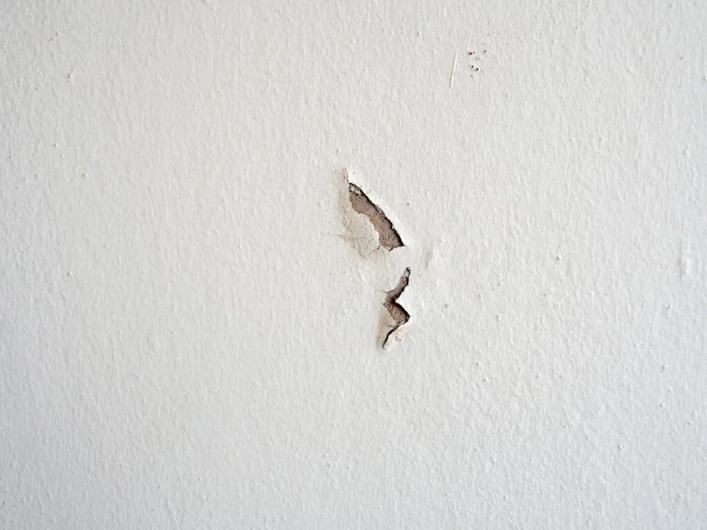How to fix chipped paint in West Vancouver BC — interior painting by Colour Craft Painting
