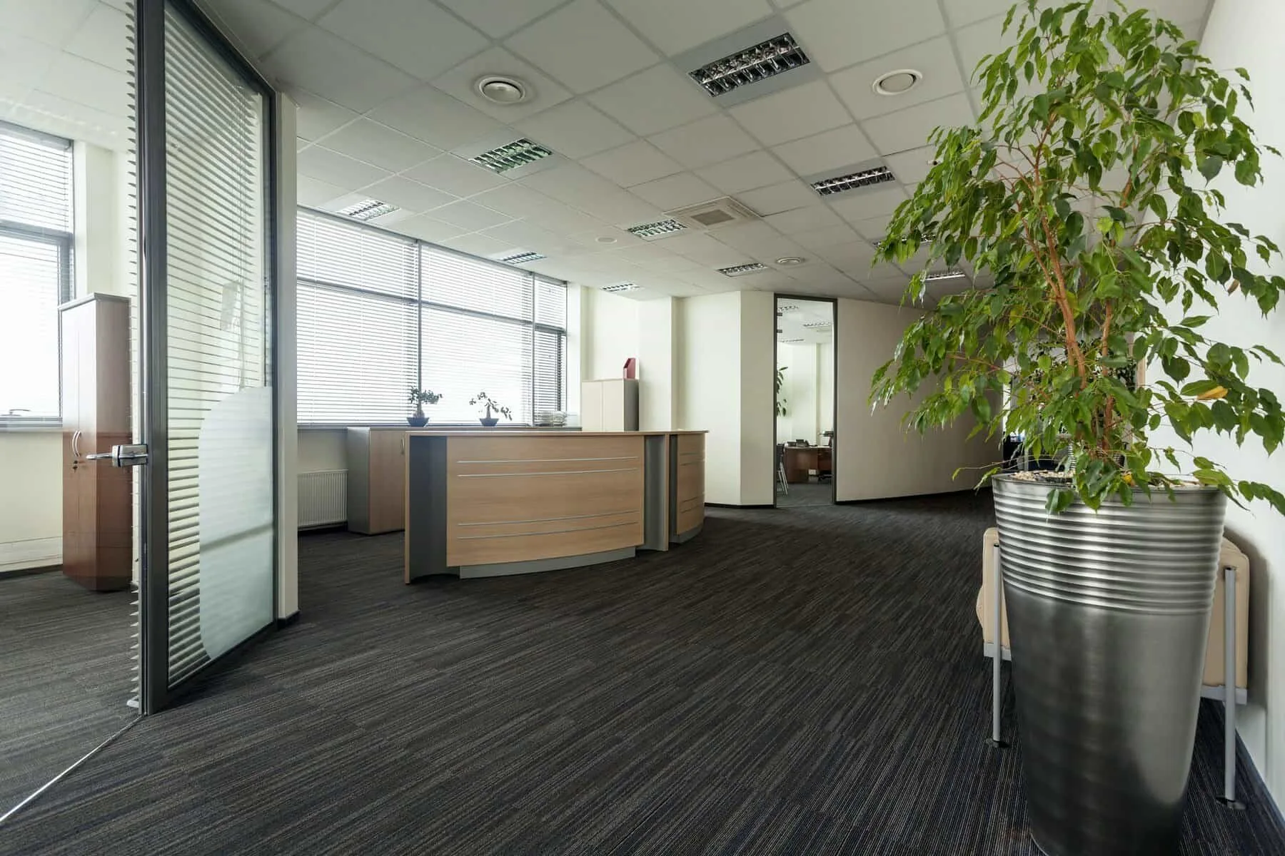 Commercial hallway interior painting — Colour Craft Painting
