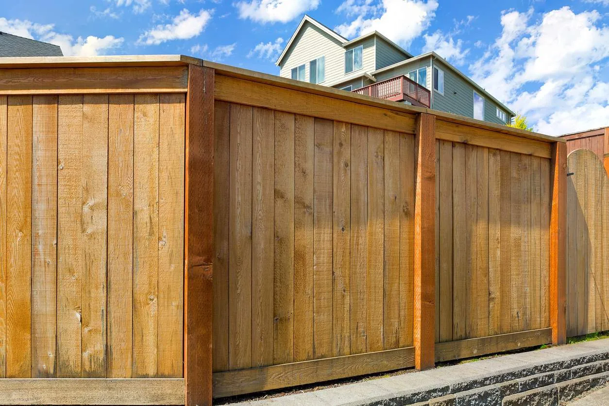 Deck & Fence Painting