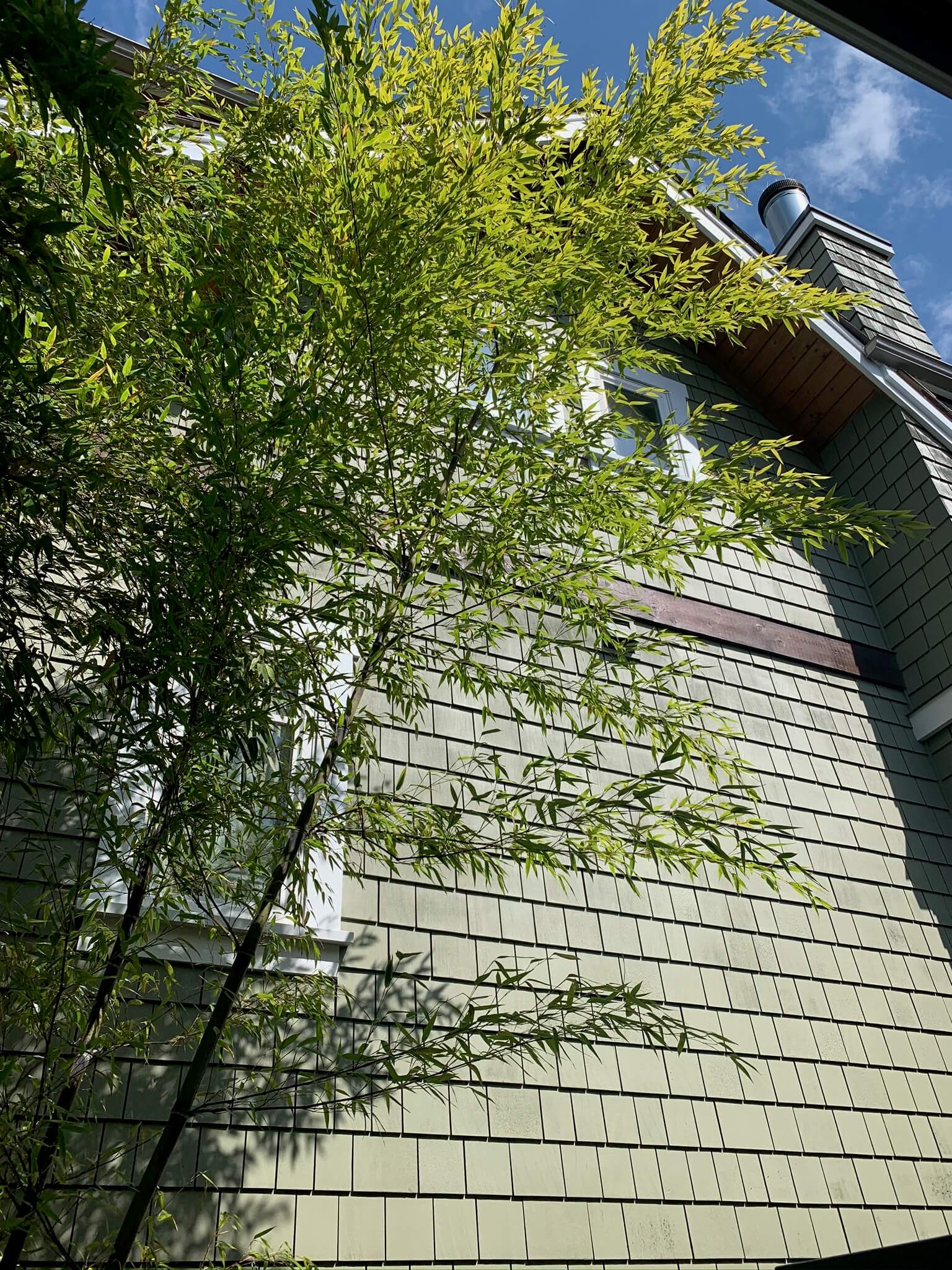 Completed exterior siding and window detail at James’s North Vancouver home