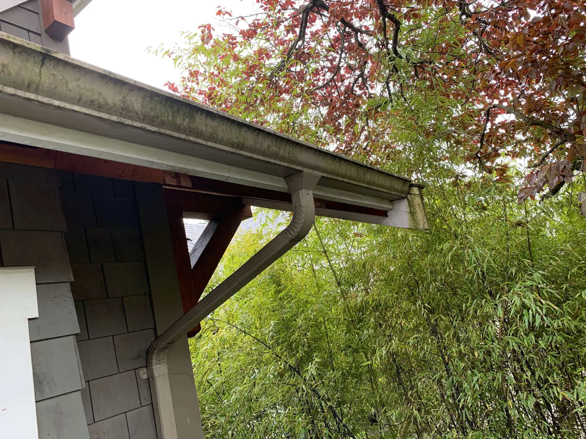 Before stain restoration, exterior view two at James’s North Vancouver home