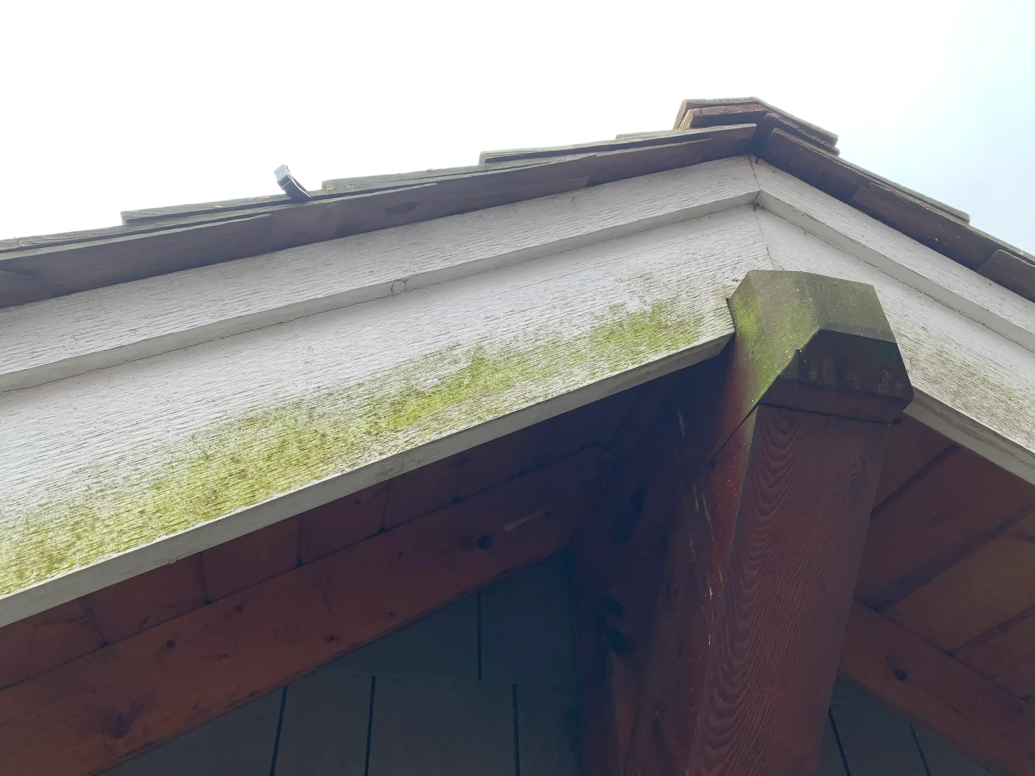 Before stain restoration, exterior view eight at James’s North Vancouver home