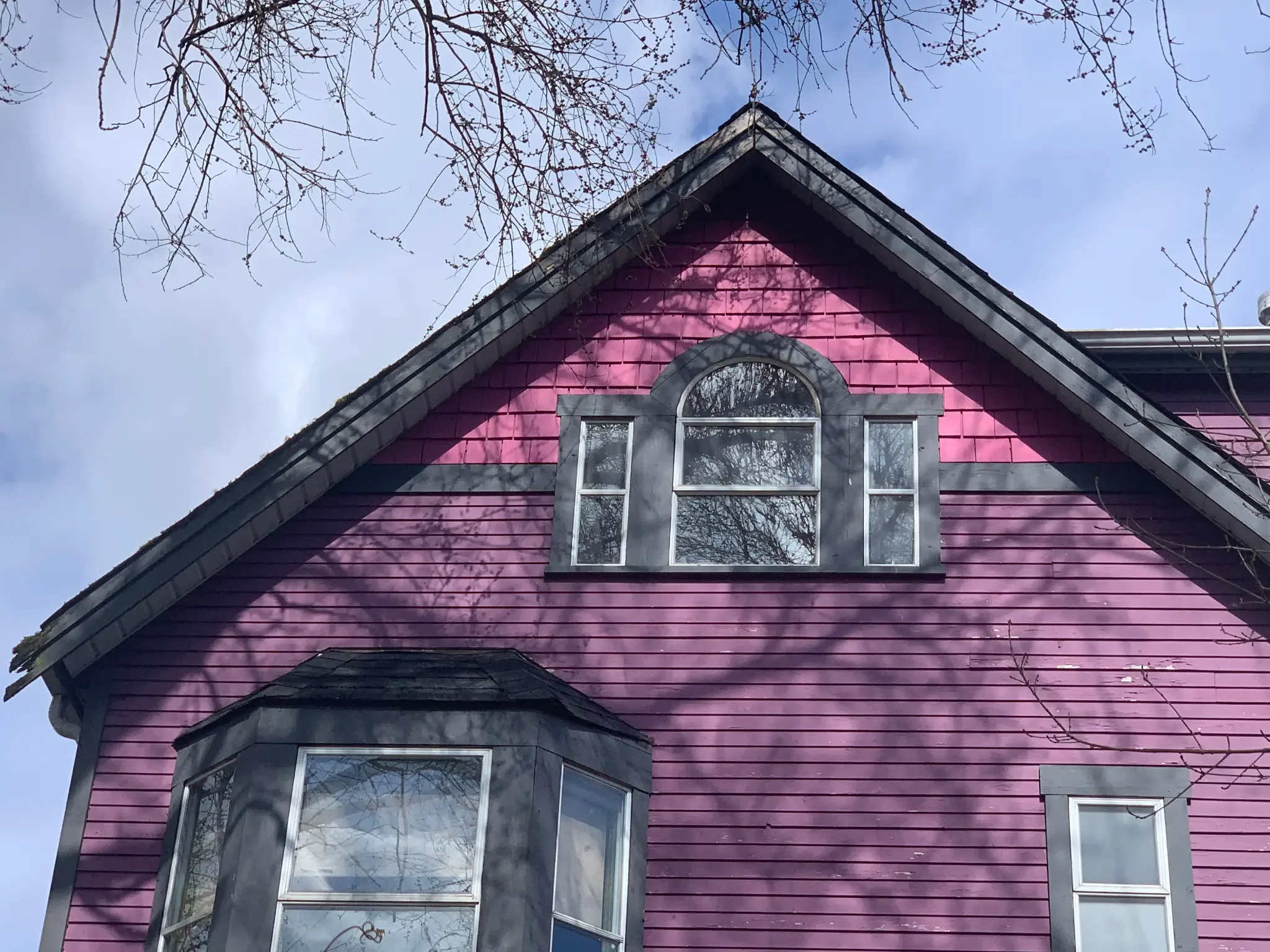 After — Front view with cherry blossoms, East Vancouver