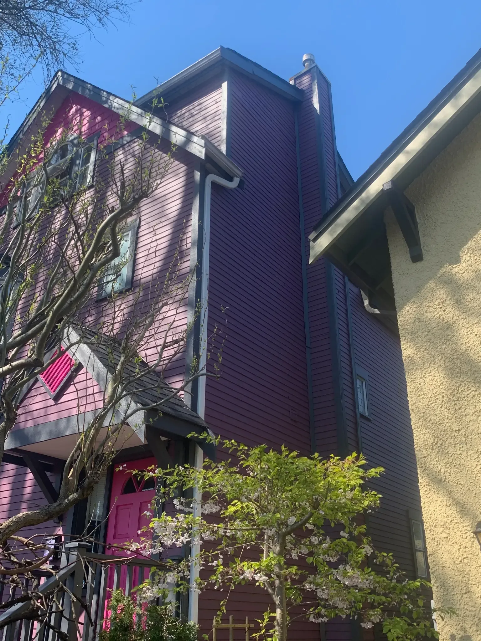 After — Side view with cherry blossoms, East Vancouver