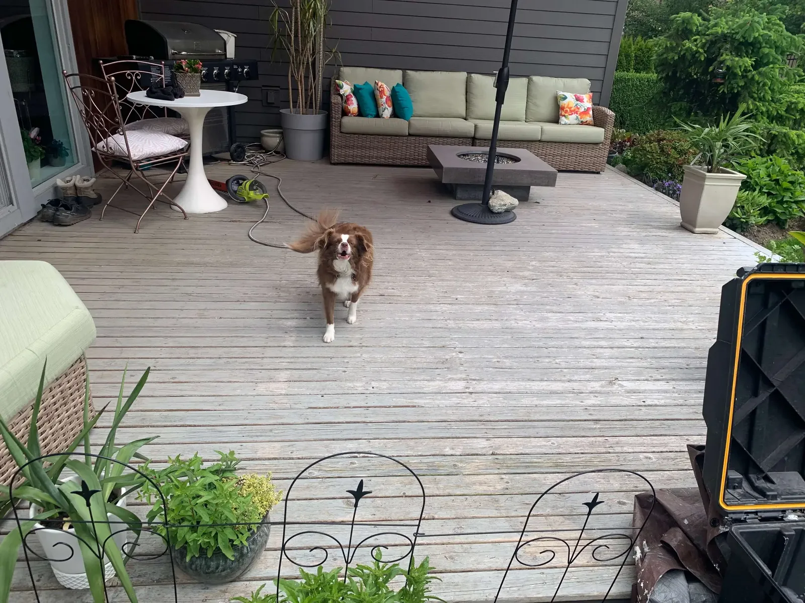 Before — Cedar deck boards weathered, Squamish BC — restoration in progress