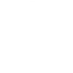License-W