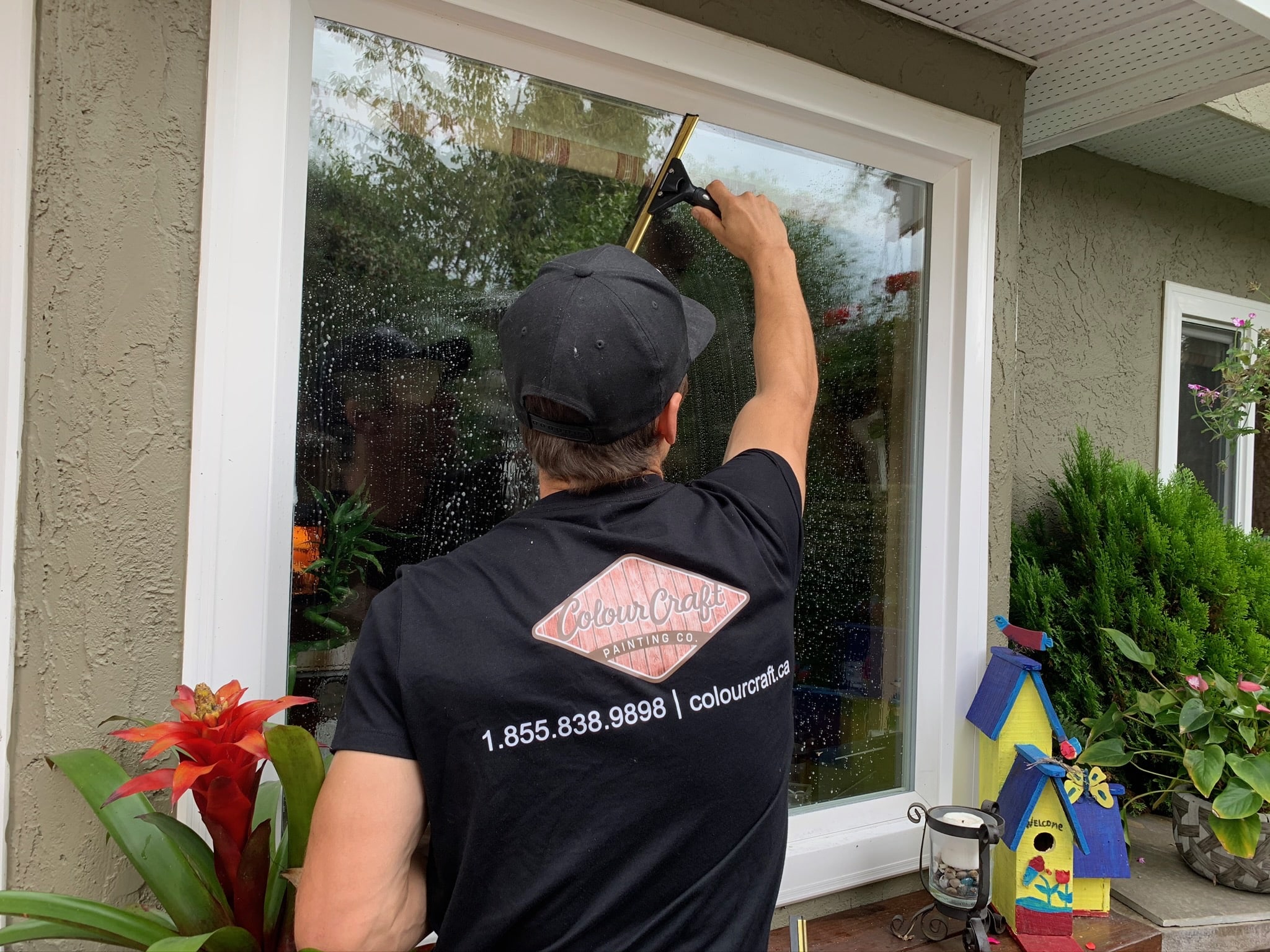Window cleaning services